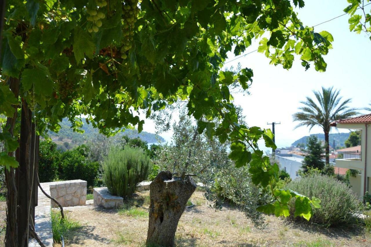 Appartamento Spiti Portokali Epidaurus Esterno foto